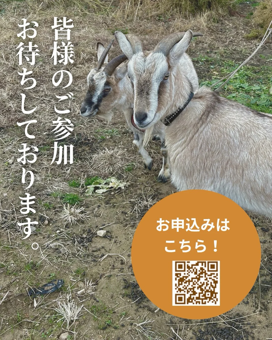 近畿シン農泊報告&交流会