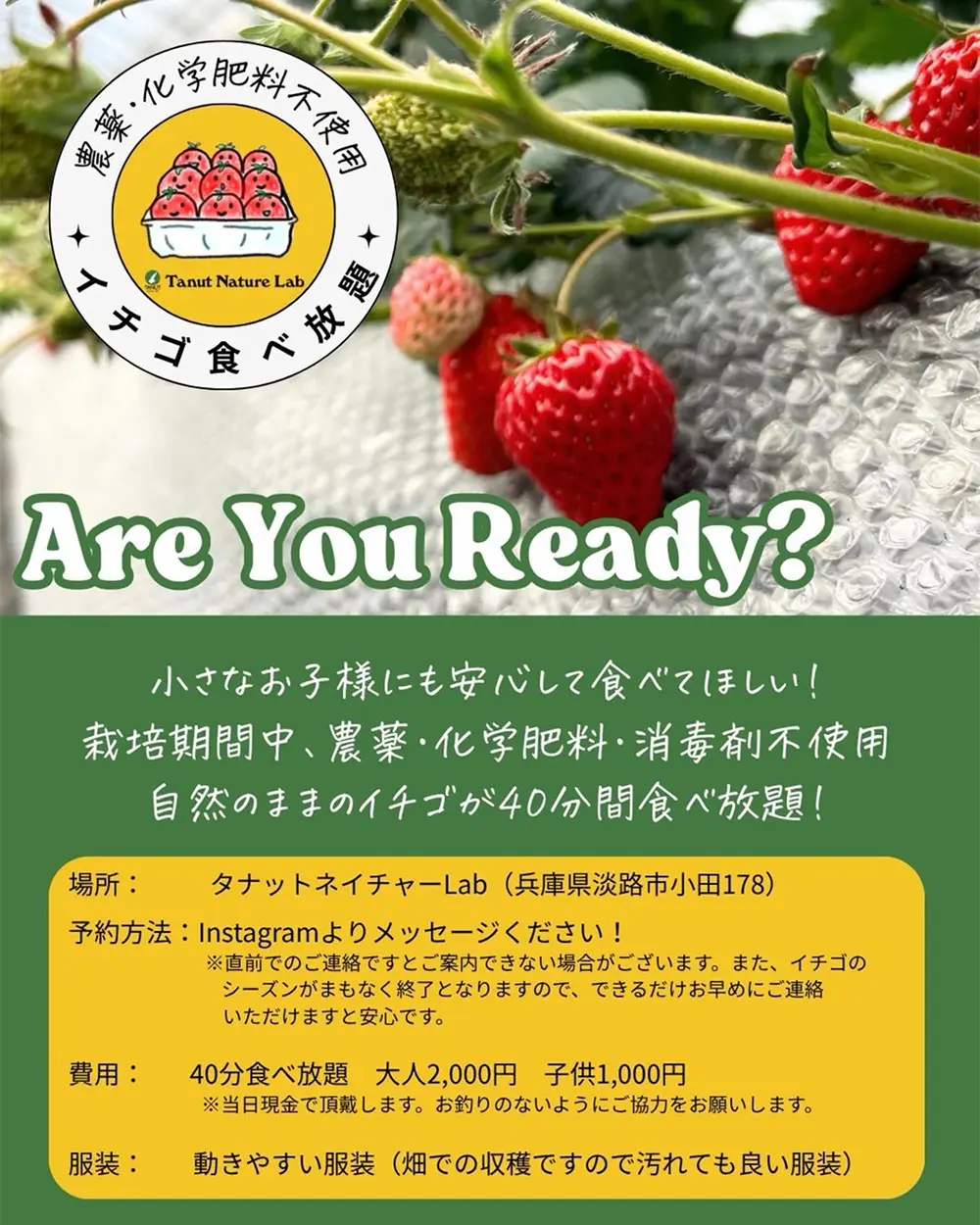 期間限定!40分イチゴ食べ放題のイチゴ狩りを開催します!