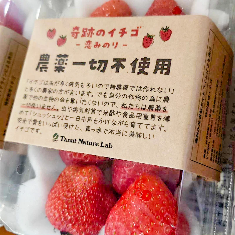 無農薬・農薬不使用のイチゴ