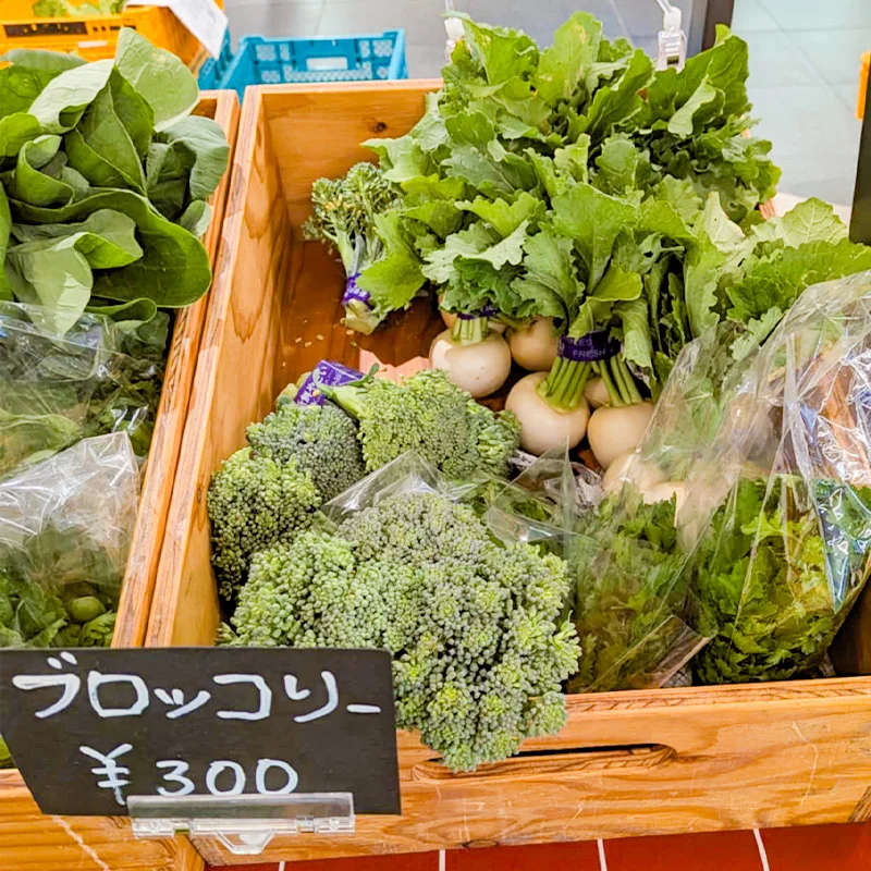 完全無農薬・農薬不使用のブロッコリー