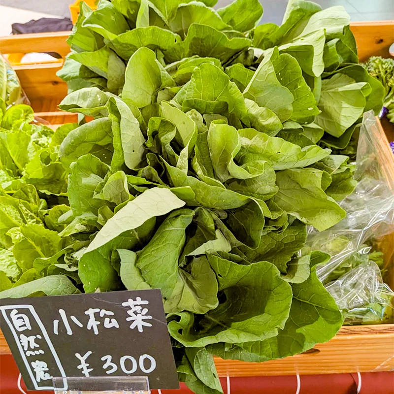 完全無農薬・農薬不使用の小松菜