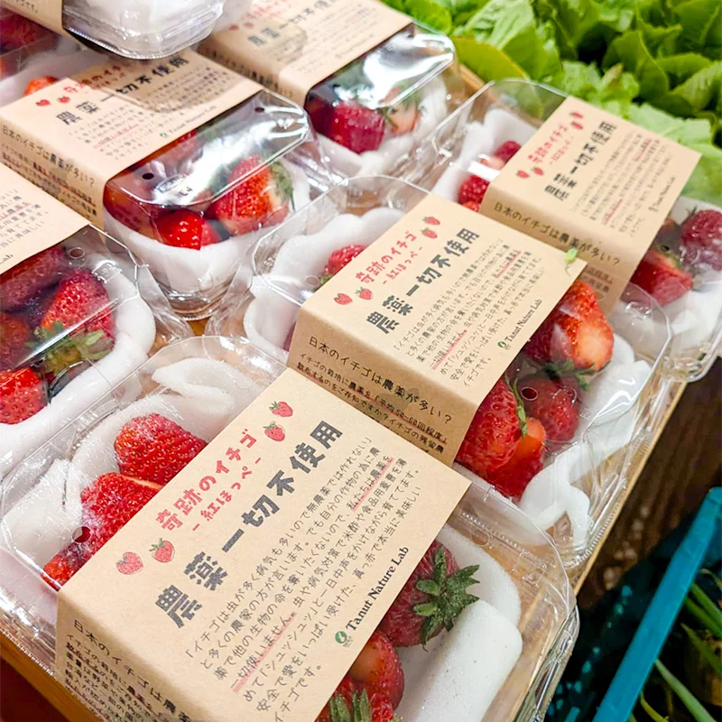 完全無農薬・農薬不使用のいちご