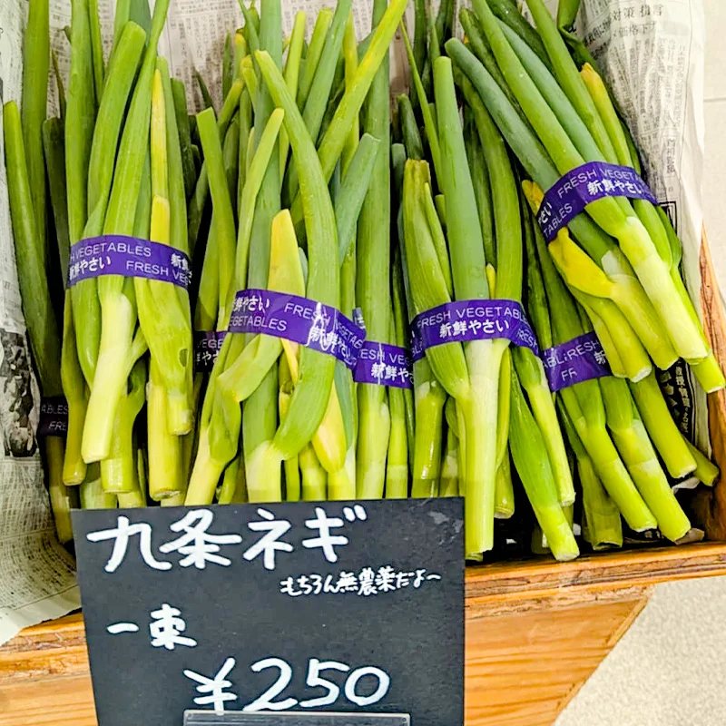 完全無農薬・農薬不使用の九条ネギ
