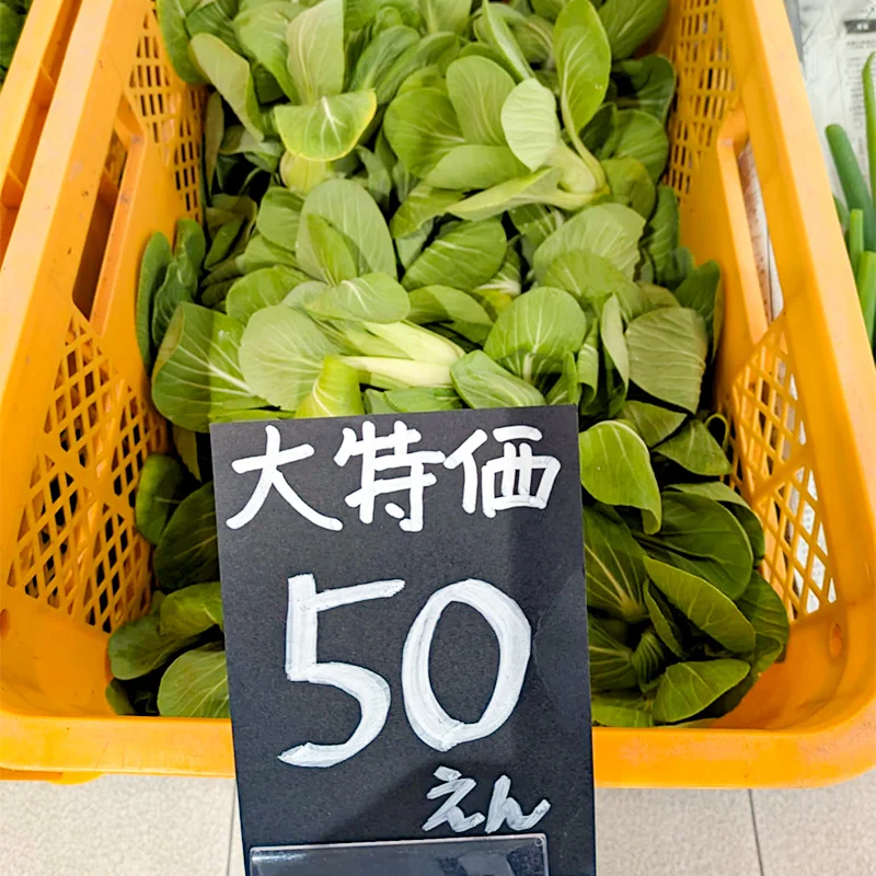完全無農薬・農薬不使用の大特価の野菜