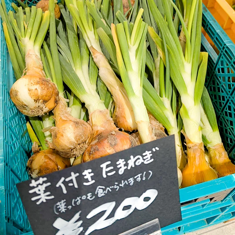 完全無農薬・農薬不使用の玉ねぎ