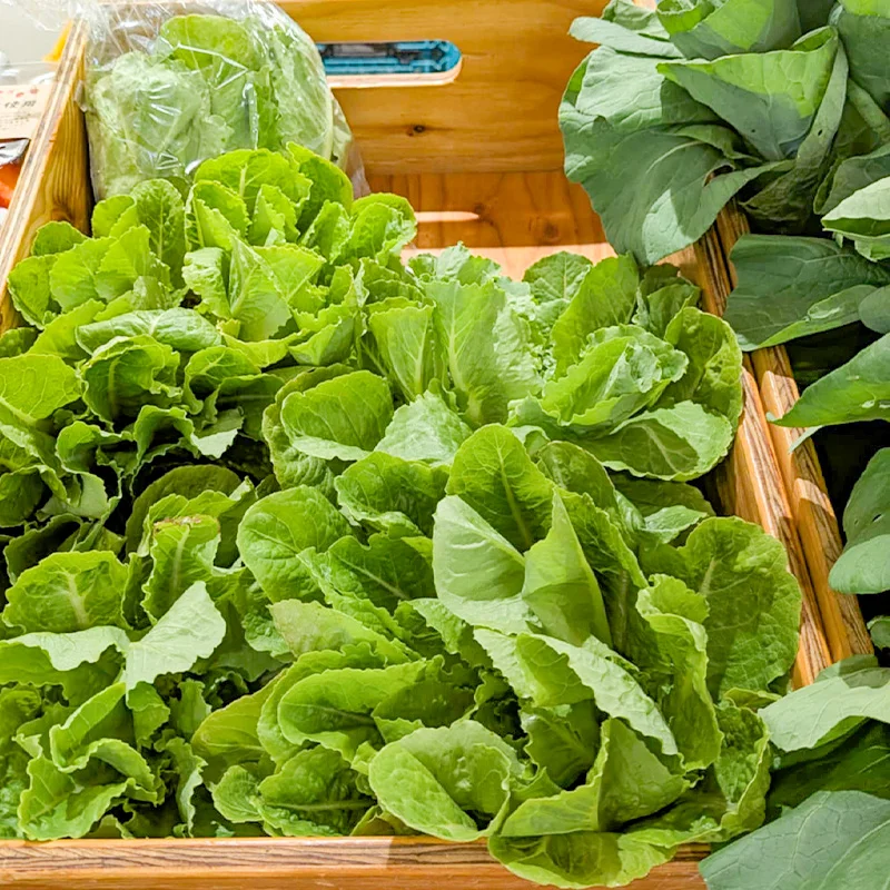 完全無農薬・農薬不使用の野菜