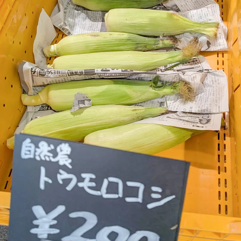 完全無農薬・農薬不使用のとうもろこし