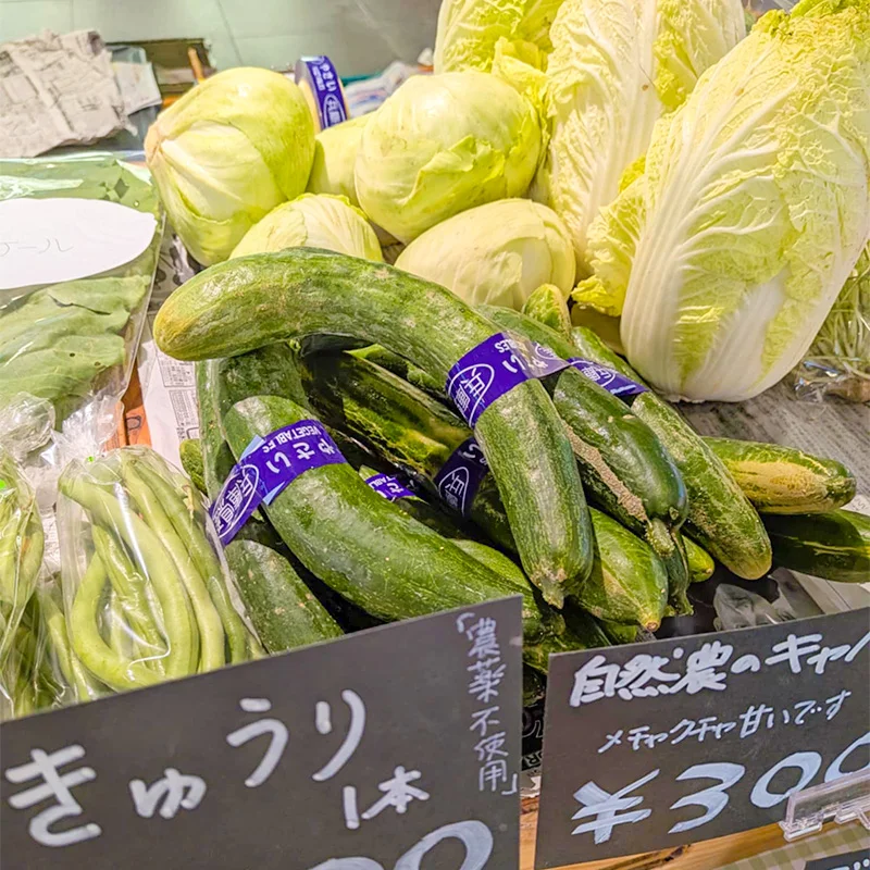 完全無農薬・農薬不使用のきゅうり、白菜