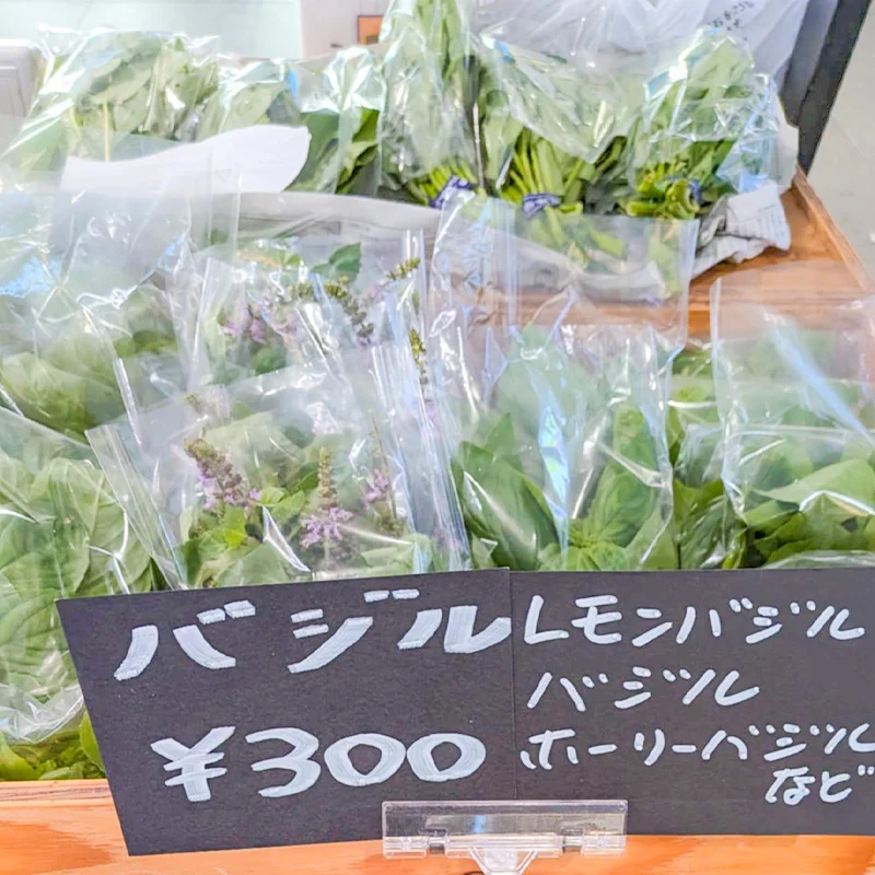 完全無農薬・農薬不使用のバジル