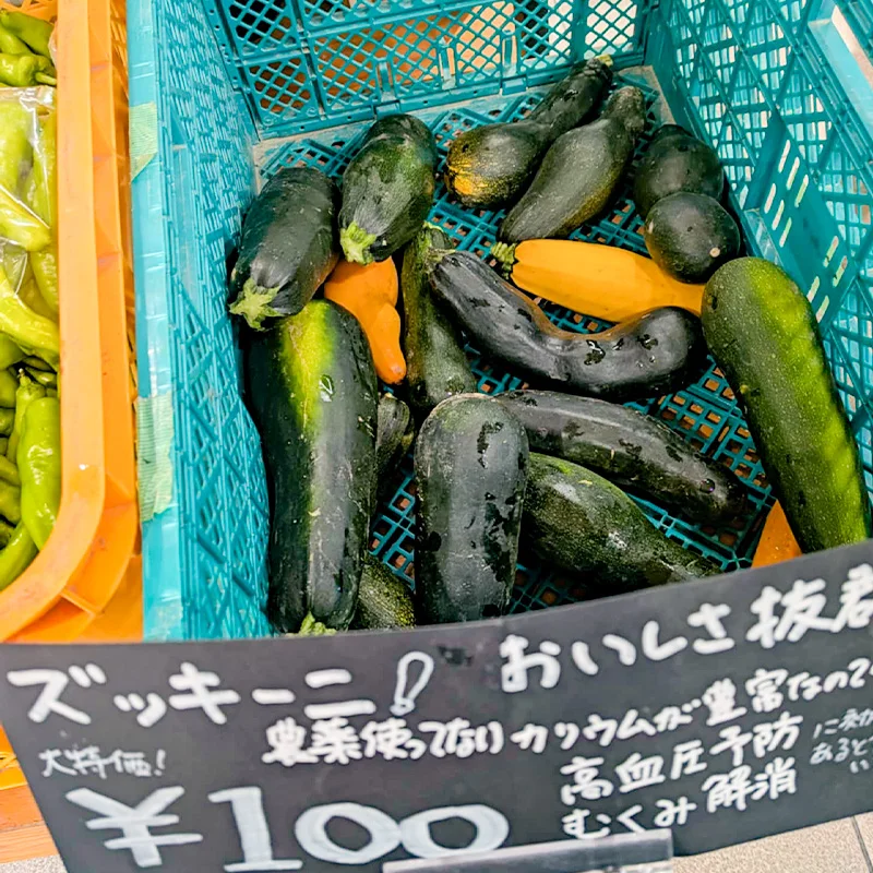 完全無農薬・農薬不使用のズッキーニ