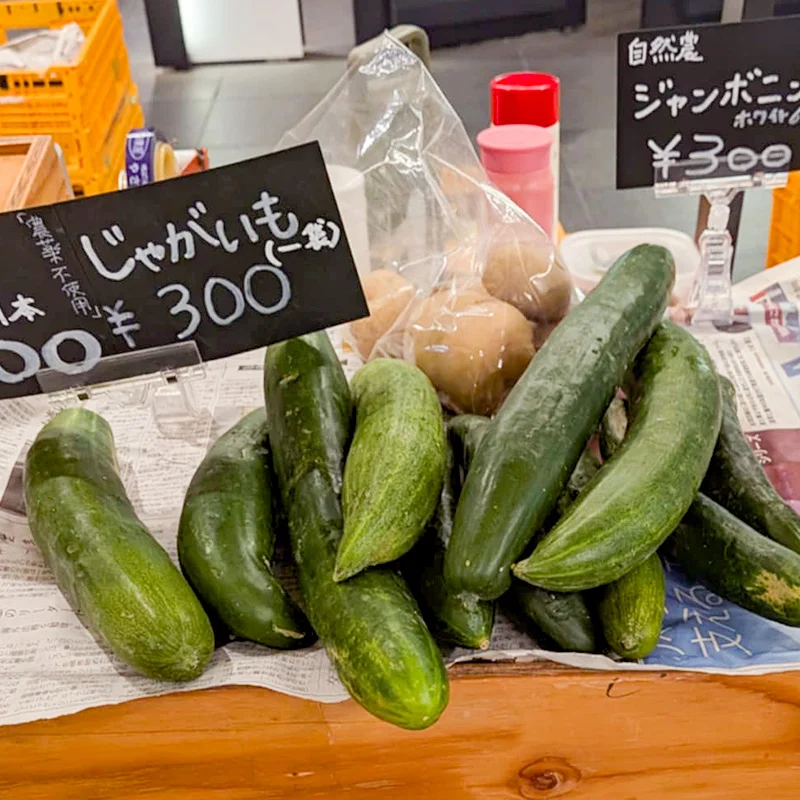 完全無農薬・農薬不使用のきゅうり、じゃがいも