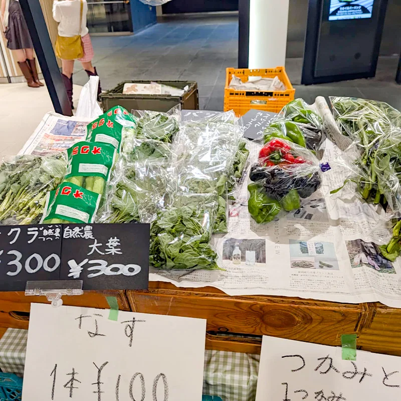 完全無農薬・農薬不使用のオクラ、大葉