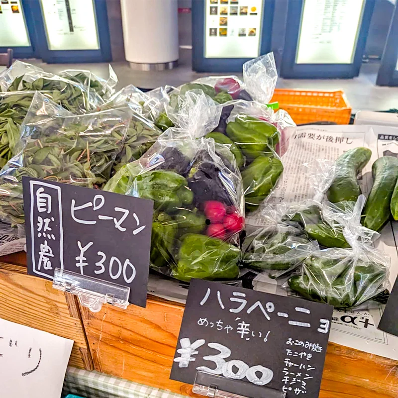 完全無農薬・農薬不使用のピーマン、ハラペーニョ
