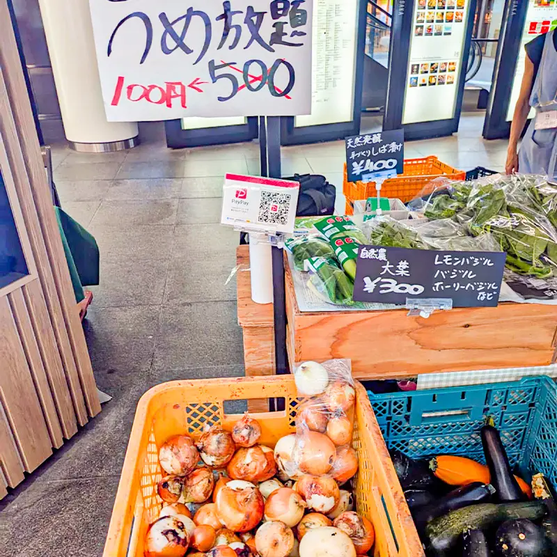完全無農薬・農薬不使用の玉ねぎ