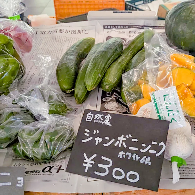 完全無農薬・農薬不使用のジャンボニンニク、きゅうり