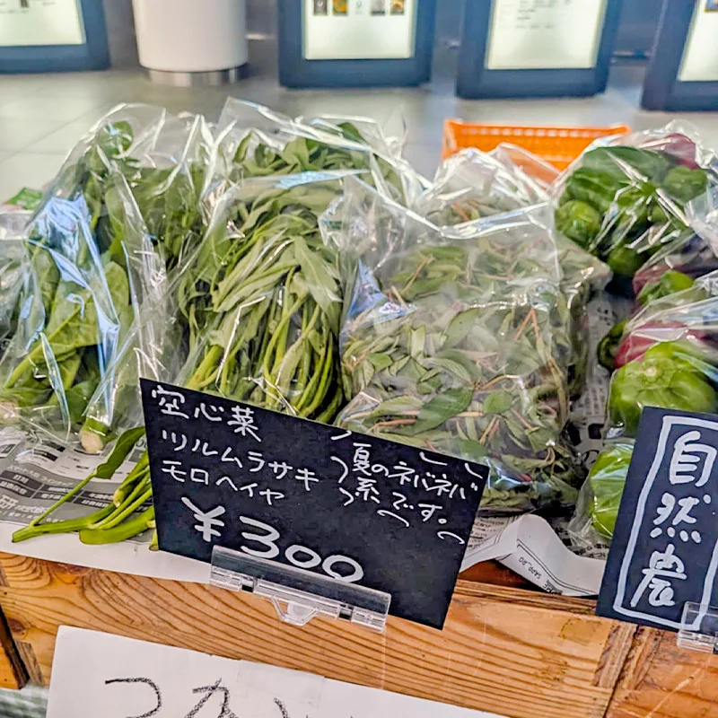 完全無農薬・農薬不使用の空芯菜、ツルムラサキ、モロヘイヤ