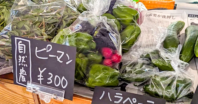 Umekiki木曜マルシェ出店スケジュール(2025年9月)