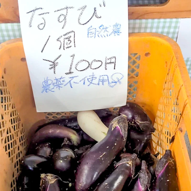 完全無農薬・農薬不使用のなす