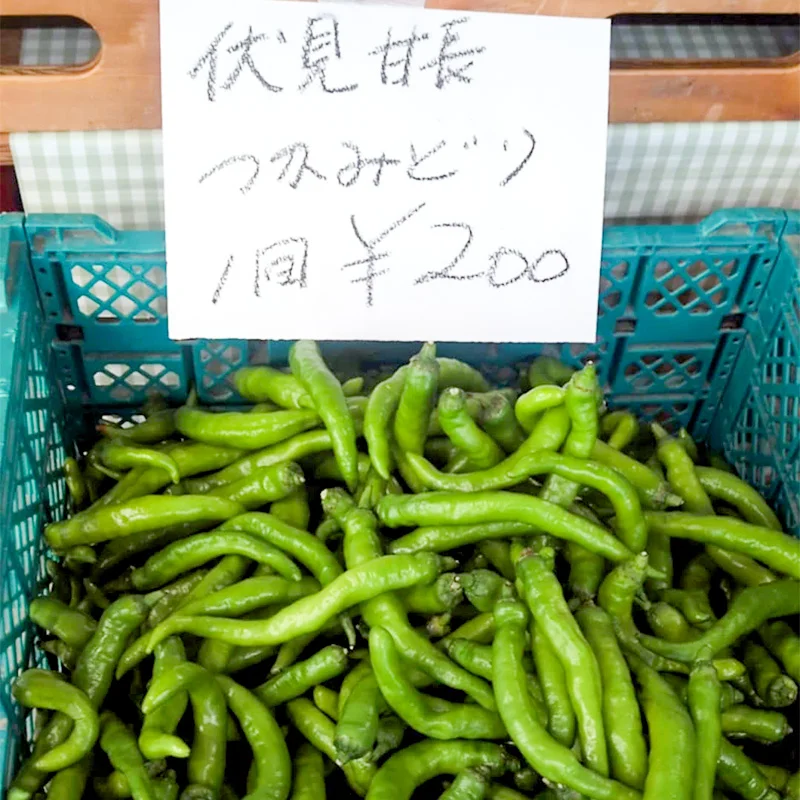 完全無農薬・農薬不使用の伏見甘長