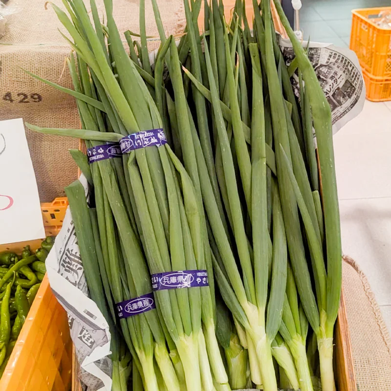 完全無農薬・農薬不使用の九条ネギ