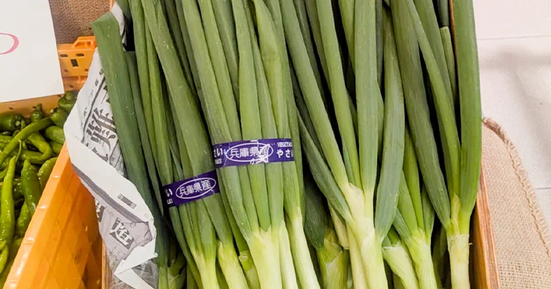 Umekiki木曜マルシェ（2025年12月）