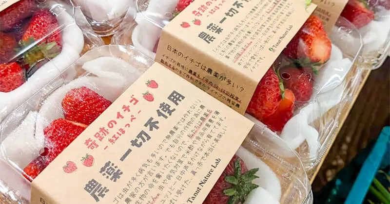 Umekiki木曜マルシェ（2026年1月）