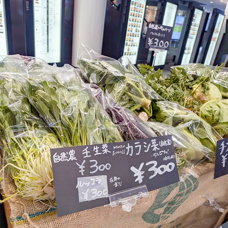 完全無農薬・農薬不使用の壬生菜、からし菜
