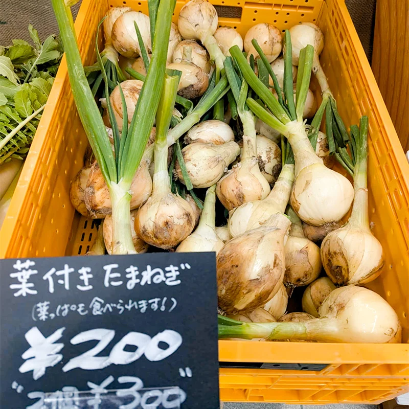 完全無農薬・農薬不使用の葉付き玉ねぎ