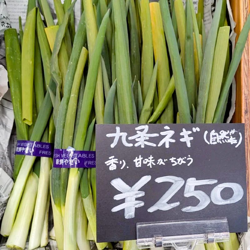 完全無農薬・農薬不使用の九条ネギ