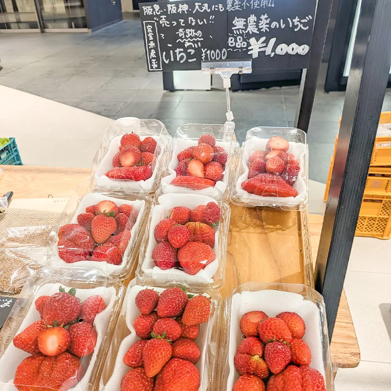 完全無農薬・農薬不使用のいちご