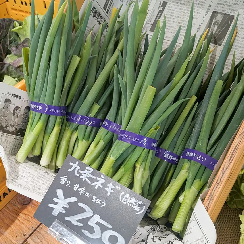 完全無農薬・農薬不使用の九条ネギ