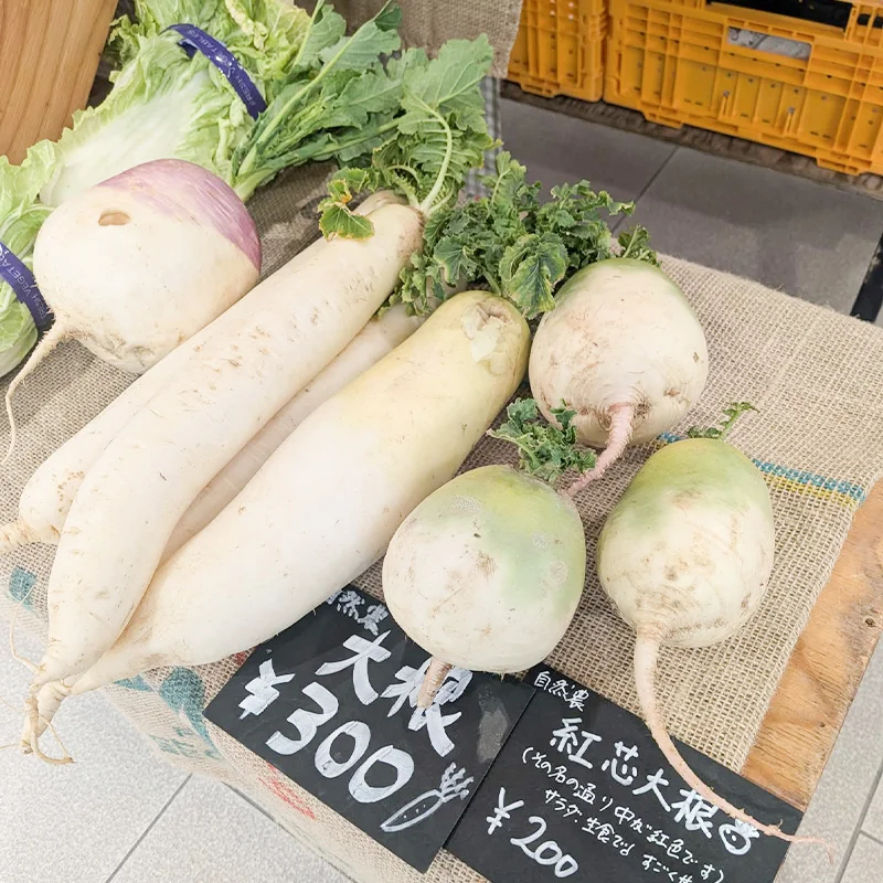完全無農薬・農薬不使用の大根