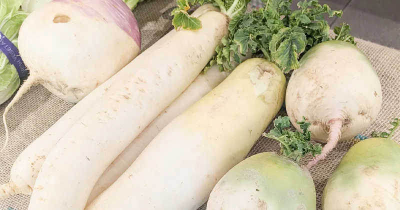 Umekiki木曜マルシェ（2026年3月）3/26で終了