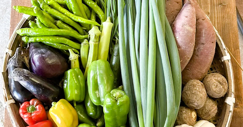 無農薬・農薬不使用の淡路島産旬の野菜セット（5品以上）